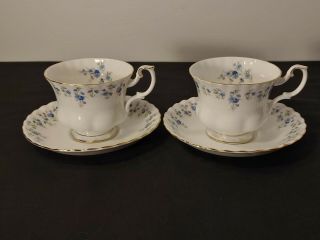 Vtg Royal Albert Porcelain Bone China Memory Lane Tea Cup & Saucer (set Of 2)
