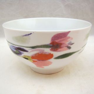 Mikasa Gourmet Basics Watercolor Garden Soup/cereal Bowl (s) 5 1/2 " X 3 " Exc