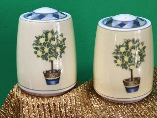 Royal Doulton Carmina Salt Pepper Shaker Set Lemon Tree Tc 1277 Fine China