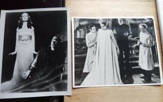 2 X Bride Of Frankenstein Movie Photos Stills - Vintage Reprints??