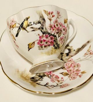 Vtg Queen Anne England Tea Cup Saucer Yellow Bird Pink Blossom Cherry Tree