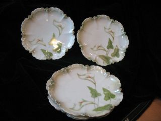 Set Of 5 R S Germany Hand Painted Cake Plates Calla Lily 6 1/4 "