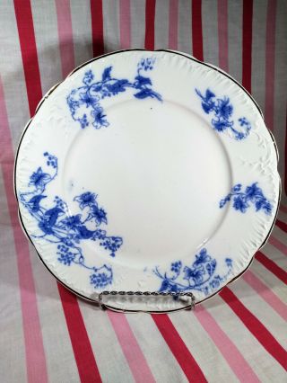 Vintage Wedgwood England Royal Blue Semi Porcelain Carnot Gold Rim Dinner Plate