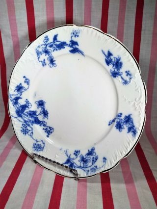 Vintage Wedgwood England Royal Blue Semi Porcelain CARNOT Gold Rim Dinner Plate 2