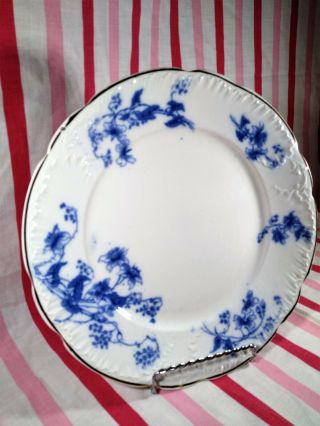 Vintage Wedgwood England Royal Blue Semi Porcelain CARNOT Gold Rim Dinner Plate 3