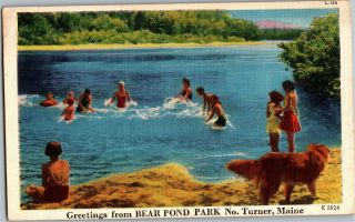 Greetings From Bear Pond Park North Turner Maine Vintage Postcard A09