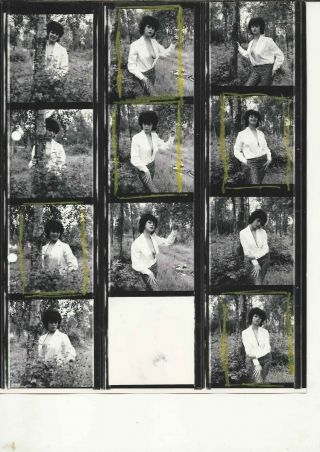 Sexy Woman In Woods 10x8 Vintage Contact Sheet 1960 