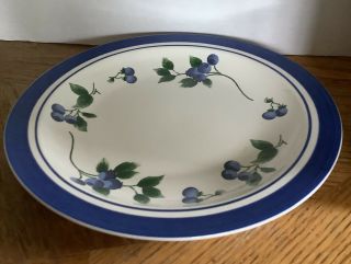 Ll Bean Blueberry 11 " Dinner Plates Retired Stoneware