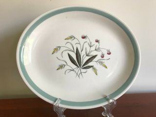 Vintage Alfred Meakin - Hedgerow - Oval Serving Plate 12 " X 10 "
