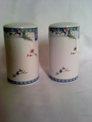 Vintage Oneida Fine Porcelain Blue Lattice Salt And Pepper Shakers