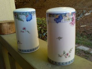 Vintage Oneida Fine Porcelain Blue Lattice Salt and Pepper Shakers 3