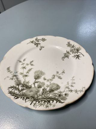 Antique John Edwards Plate Porcelaine De Terre ‘’ Thistle” 9”c - 1890