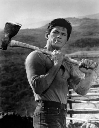 Charles Bronson [the Magnificent Seven] 8 " X10 " 10 " X8 " Photo 62011