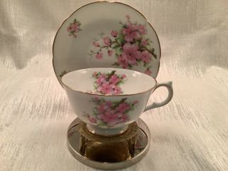 Adderley Fine Bone China Footed Teacup And Saucer,  Pink Apple Blossom Gold Lined