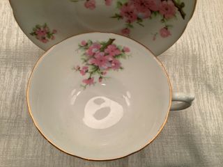 Adderley Fine Bone China Footed Teacup And Saucer,  pink apple blossom gold lined 2