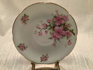 Adderley Fine Bone China Footed Teacup And Saucer,  pink apple blossom gold lined 3
