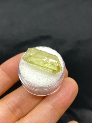 Terminated Yellow Apatite Gemstone Crystal In Jar - 4.  1 Grams - Vintage Estate Find