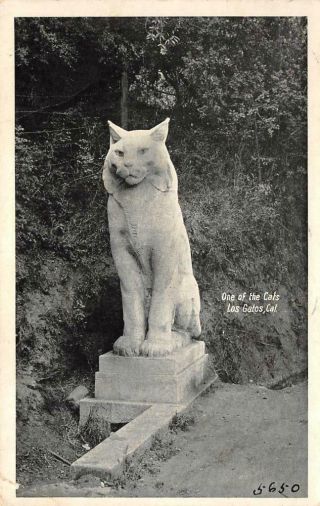 " One Of The Cats " Los Gatos,  Ca Scott Wood Cat Statue 1924 Vintage Postcard