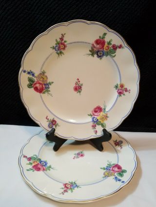 Vtg.  Set Of 2 Cream Petal Grindley England Devonshire Rose 10 " Dinner Plate