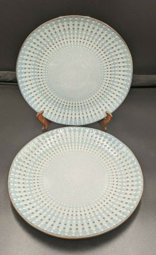 Pfaltzgraff Bria Dinner Plates Set Of 2 Blue/gray With Brown And Gray Dots