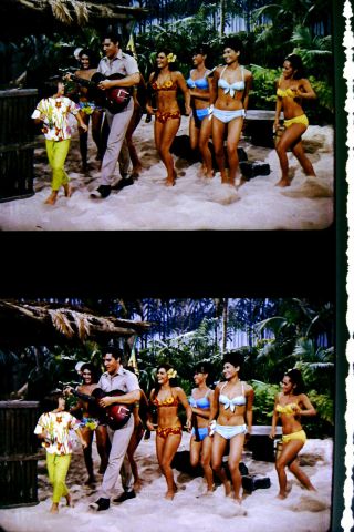 Paradise Hawaiian Style Feat Elvis Presley 35mm Film Cells