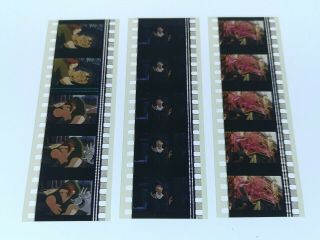 The Hunchback Of Notre Dame 35mm Film Cell Animation Movie Disney Cartoon Cinema