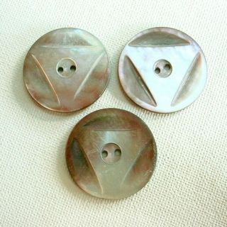 3 Large Vintage Carved Abalone Buttons 1 - 1/4 "