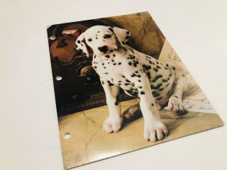 Vintage Cuddly Cuties Folders From 1990s Dalmatian Puppy Dog