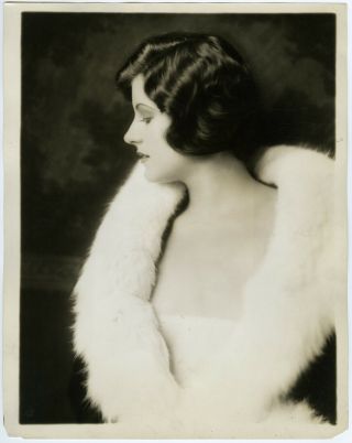 Incredible 1929 Large Alfred Cheney Johnston Photograph Dorothy Knapp