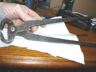 Vintage 13 " Professional Vaughan Horse Hoof Nipper Farrier Tool Trimmer Cutter