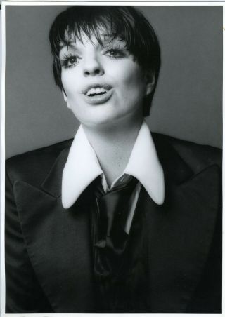 Liza Minnelli Oversize Studio Portrait Photograph Johanna Van Zantwyk 1980 Orig.