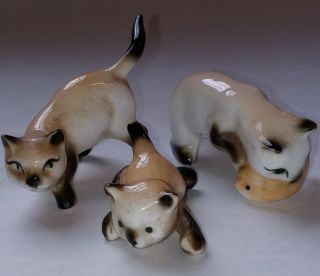 Set Of 3 Vintage Miniature Siamese Cats Kittens Bone China Porcelain Japan?