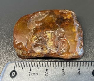 Vintage Baltic Amber / Big Piece