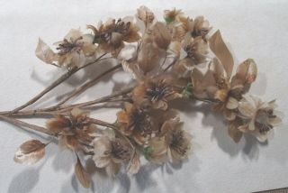 Vintage Millinery Flowers For Crafts - Velvet & Silk - On Branches - Germany