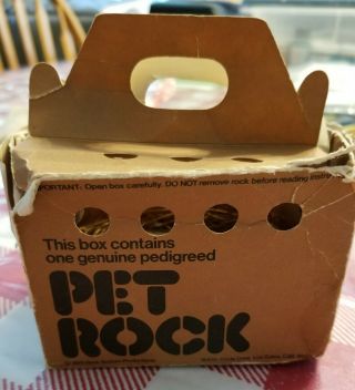1975 Vintage Pet Rock W/ Orig.  Box And Instructions.  Very Loved By Gma