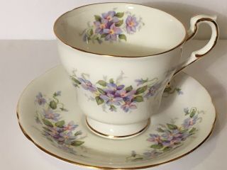 Paragon English Flowers Violet Teacup And Saucer