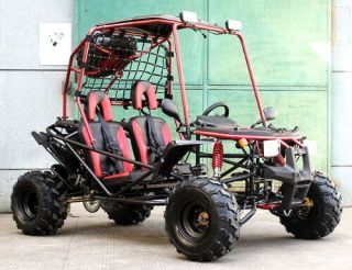 200cc Go Kart - Automatic With Reverse W/lights - Model Pathfinder