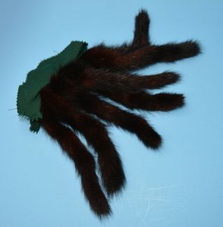 7 Vintage Mink Tails Sewn Onto A Piece Of Fabric Crafting Costuming