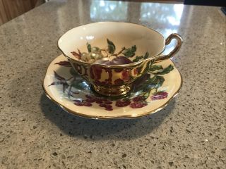 Vtg Rosina Bone China Cup And Saucer Gold Outside Fruit Inside Made In England