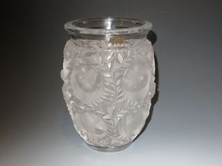 Lalique French Crystal Bagatelle Vase (w/ Sticker) w/ Light Box 4