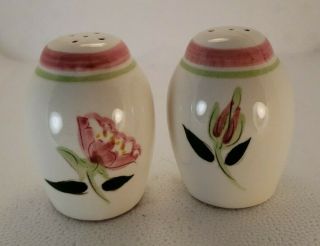 Stangl Wild Rose Salt And Pepper Shaker Set 3 Inches High Small Stain On Pepper