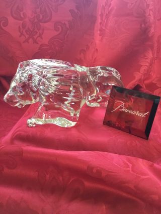 Flawless Exceptional Baccarat Crystal 11 " Lion Mane Roar Tiger Panther Figurine