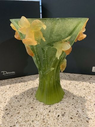 Daum - France - Jonquille Daffodil Vase - Boxed 4