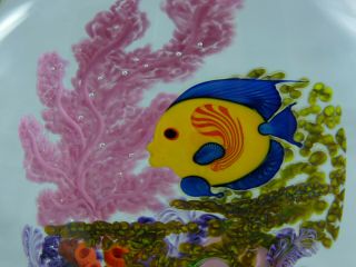 CHRIS HEILMAN Angel Fish Coral Reef 1998 Art Glass Sculpture Paperweight 5
