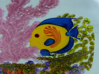 CHRIS HEILMAN Angel Fish Coral Reef 1998 Art Glass Sculpture Paperweight 6