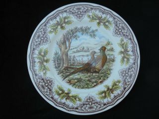 Royal Stafford Pheasant Homeland Harvest Porcelain Dinner Plate.