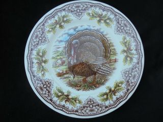 Royal Stafford Turkey Homeland Harvest Porcelain Dinner 11 " Plate.