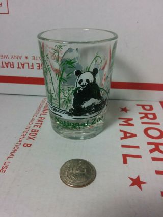 Vintage The National Zoo Panda Glass Cup Washington Dc Souvenir Shot 3.  25 " Cool