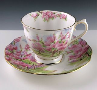 Vintage Royal Albert " Blossom Time " Bone China Teacup & Saucer,  England