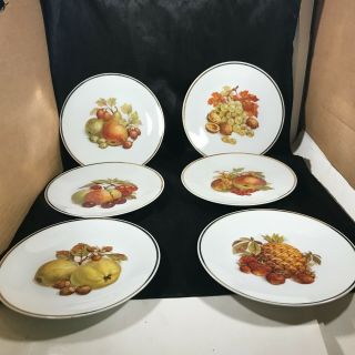 Set Of 6 Vintage Lorenz Hutschenreuther Fruit Design Plates